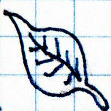 A Pictogram of a Leaf