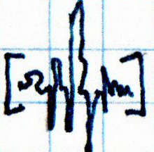 A Squiggle Resembling a Cross Between a Chaotic Signature and Sound Wave Between a Pair of Square Brackets